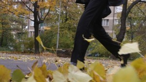 Жълт код във Великотърновско заради силен вятър