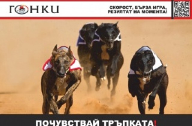 Еврофутбол залага на скоростта и бързата игра с гонки с кучета