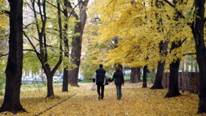 Топло за ноември