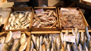 Инспектори проверяват Рибната борса