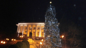 Голямата елха ще блесне в коледна премяна