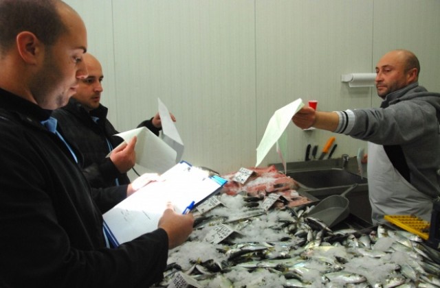 Преди Никулден: Риба от 2.50 до 25 лв. на борсата