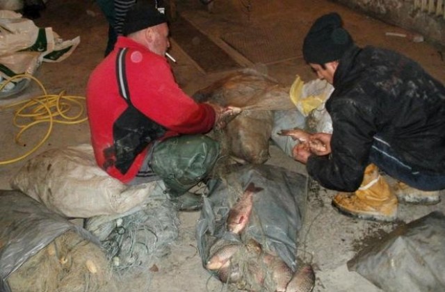 Хванаха двама бракониери с над 80 кг риба