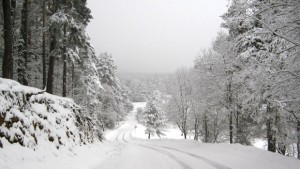 БКСГ Оряховица ще почиства четвъртокласните пътища и селата през зимата