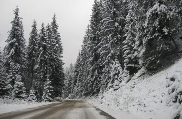 Снегонавявания в Смолянско, закъсали ТИР-ове с летни гуми, 6 села без ток