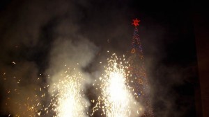 Грейна елхата Дядо Коледа пожела на Добрич да е покрасив