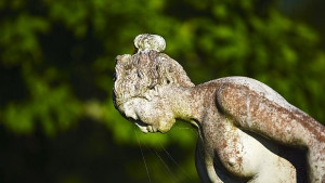 Стотици хиляди Пепеляшки