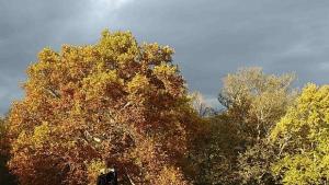 Виена е градът с найдобро качество на живот в света