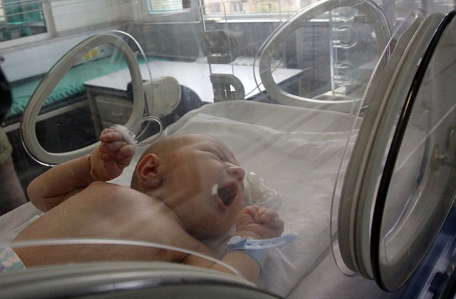 Опасност от забавяне на ин витро процедури през януари