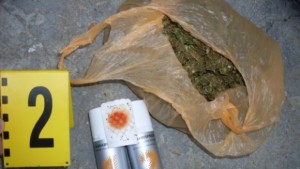 Задържаха двама мъже отглеждали марихуана