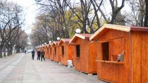 Дипломат открива Австрийския Коледен базар