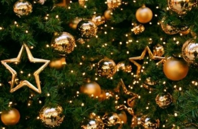 Магията на Коледа в училищата и детските градини на Димитровград