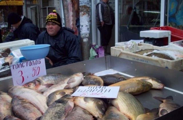 Унищожават 80 кг риба с неустановен произход