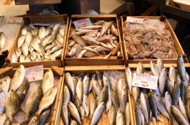 Кулинари мерят сили с нетрадиционни морски ястия