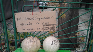 Продават тикви на самообслужване в центъра на Стара Загора