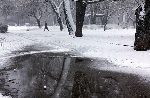 Облачно, почти без валежи