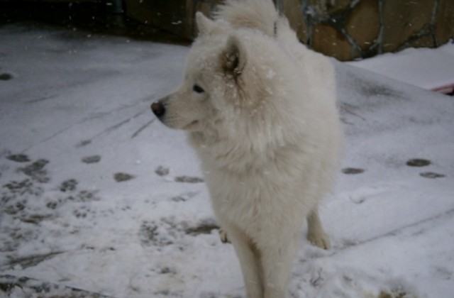 Облачно, но почти без валежи