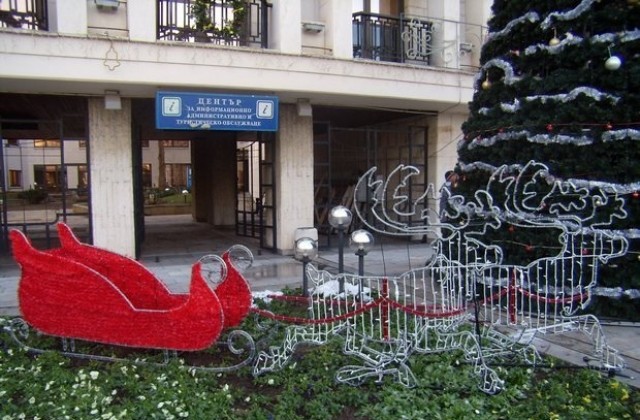 Елхата в Горна Оряховица грейва празнично