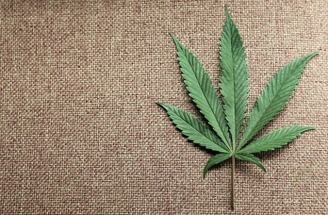Щата Вашингтон празнува легализирането на марихуаната