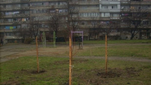 Озеленителна кампания в Сливен