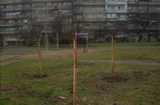 Озеленителна кампания в Сливен