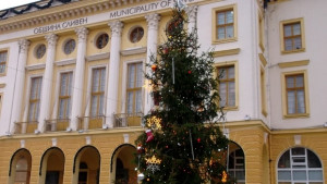 Днес грейва коледната елха