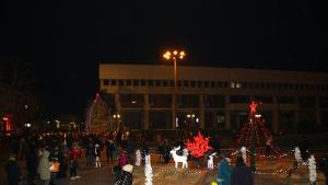 Видин светна предпразнично