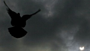 Страх и паника в Русия покрай края на света