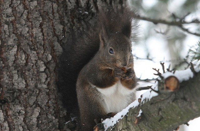 Очакват се валежи
