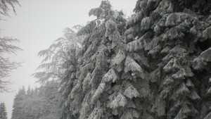 Проверете гумите преди пътуване през Шипка