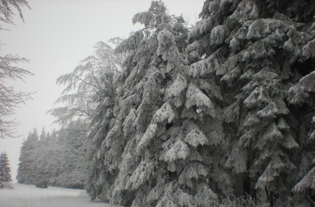 Проверете гумите преди пътуване през Шипка