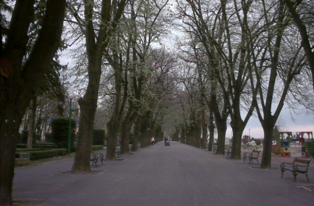 Питат видинчани за обновяване на пешеходната им зона