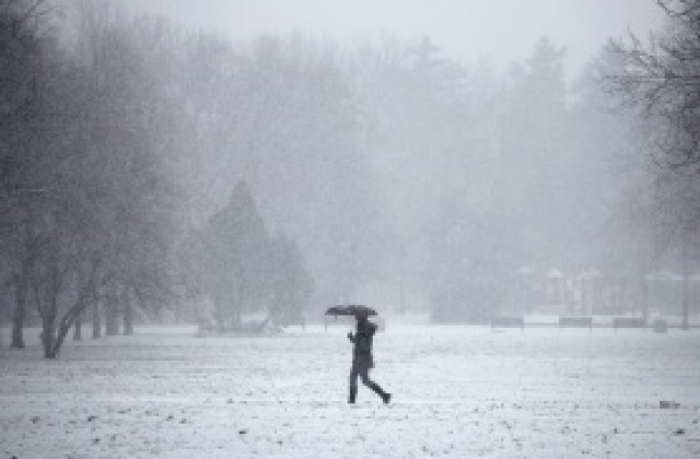 БФС: Няма да има отлагане на мачовете за Купата, ЦСКА има време до сряда