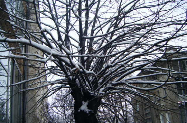 Слънчево, но студено