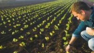 Земеделците избират как да бъдат облагани доходите им