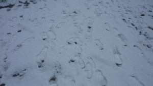 Внимание хлъзгави улици