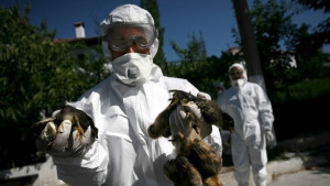 Днес празнуват ветеринарите