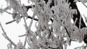 В Силистренско температурите паднаха до минус 14 градуса