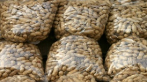 Продажбите насипно са от полза и за портфейла и за