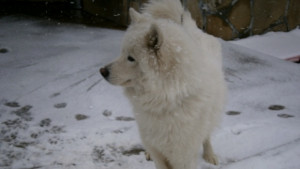 Следобед затопляне с превалявания