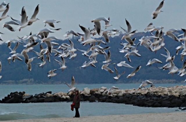 Събудихме се при минус 11 градуса