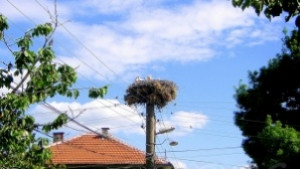 Сандрово се побратими с румънската община Гостину