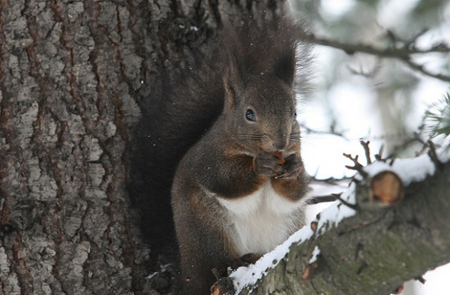 Слабо затопляне