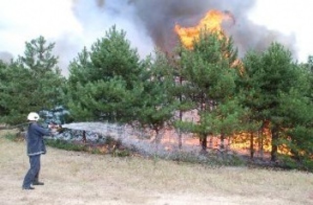 Щети за 28 000 лв. са нанесени от пожари в горите в Ловешко и Плевенско
