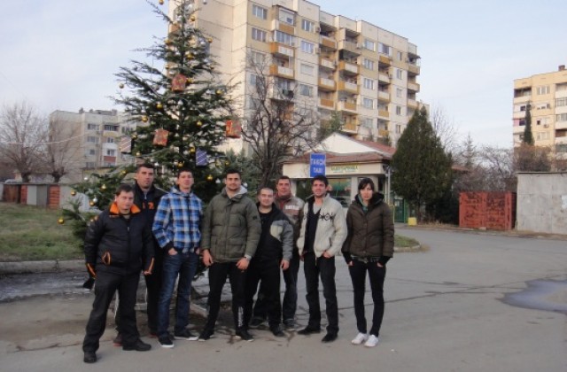 Коледна елха грейна и в центъра на „Зора”
