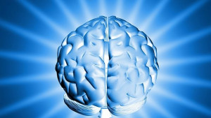 Още една крачка към връзката мозък машина