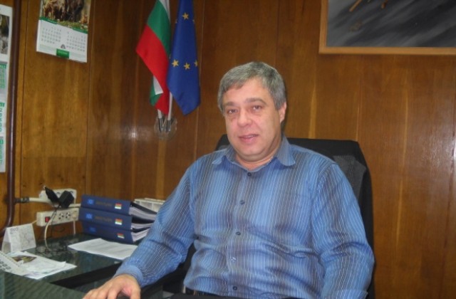 От 50 до 5 000 лв. за незаконно рязане на Коледни елхи