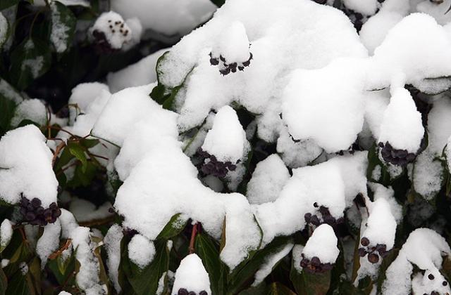 Отново се очаква снеговалеж