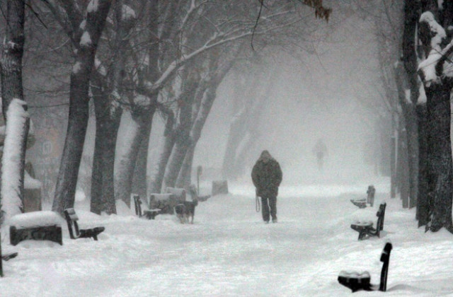 Обилни валежи от сняг, идва силен вятър