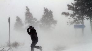 Проблеми с електрозахранването във Варна заради силния вятър